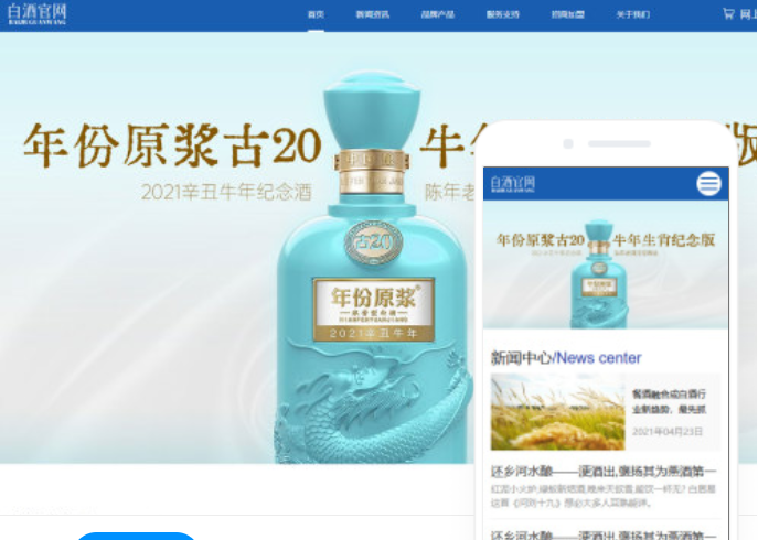 安阳网站建设推广公司